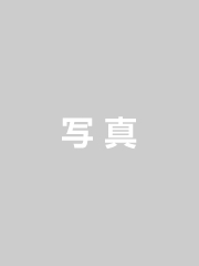 画像の見本