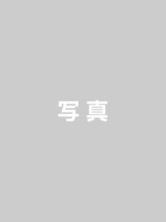 画像の見本